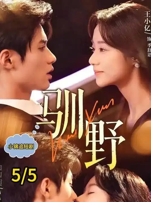 隔壁的酱油铺详情层插图：家庭喜剧剧集索引卡与季数字段